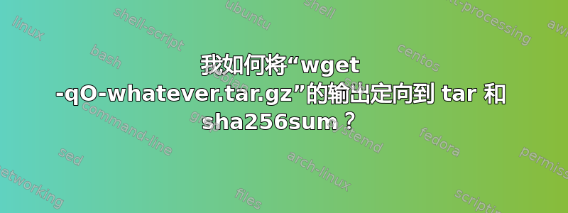 我如何将“wget -qO-whatever.tar.gz”的输出定向到 tar 和 sha256sum？