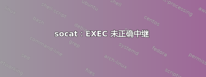 socat：EXEC 未正确中继