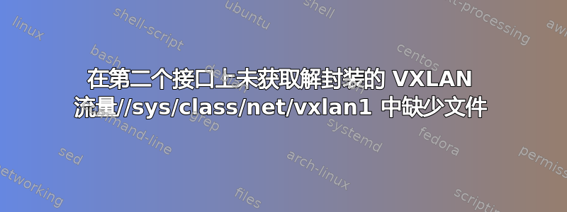 在第二个接口上未获取解封装的 VXLAN 流量//sys/class/net/vxlan1 中缺少文件