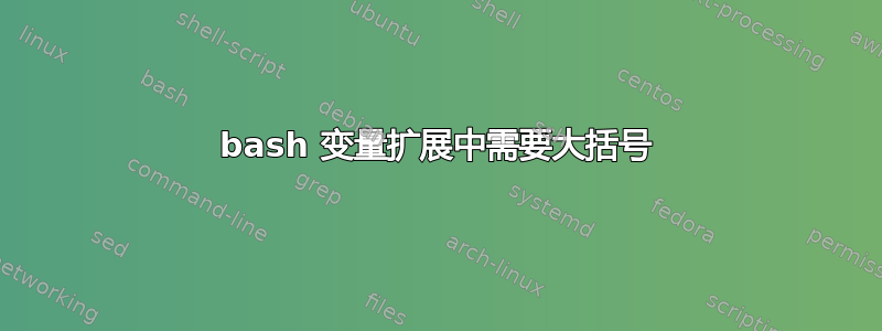 bash 变量扩展中需要大括号