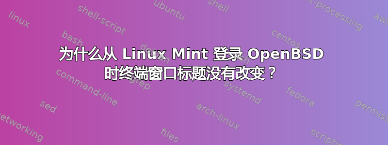 为什么从 Linux Mint 登录 OpenBSD 时终端窗口标题没有改变？