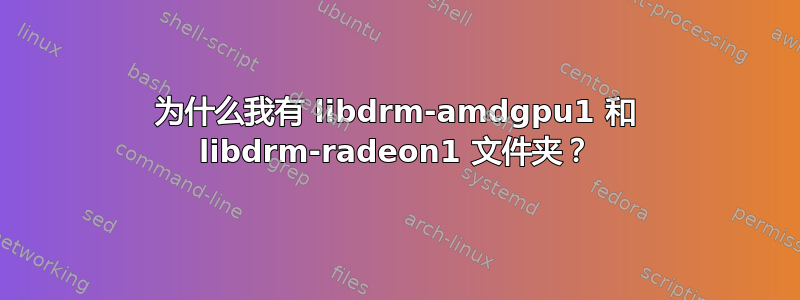 为什么我有 libdrm-amdgpu1 和 libdrm-radeon1 文件夹？