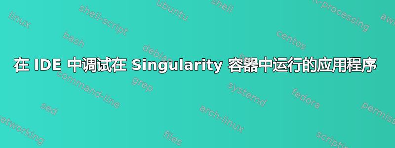 在 IDE 中调试在 Singularity 容器中运行的应用程序