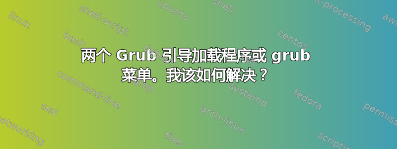 两个 Grub 引导加载程序或 grub 菜单。我该如何解决？