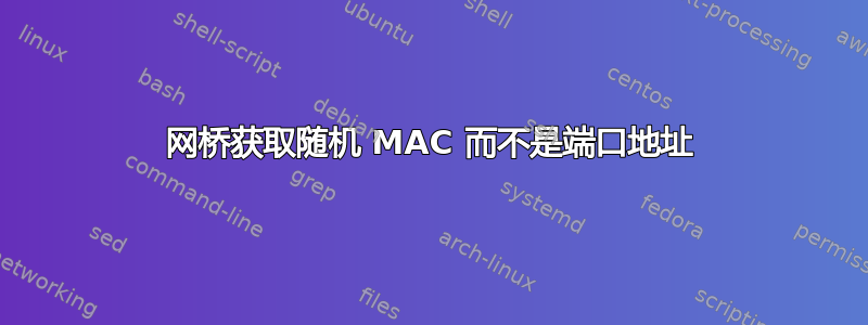 网桥获取随机 MAC 而不是端口地址