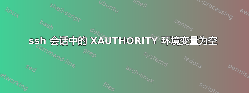 ssh 会话中的 XAUTHORITY 环境变量为空