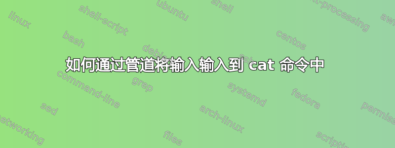 如何通过管道将输入输入到 cat 命令中