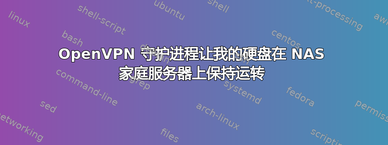 OpenVPN 守护进程让我的硬盘在 NAS 家庭服务器上保持运转