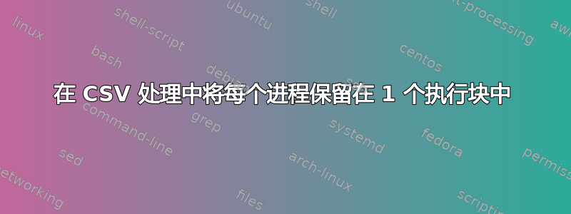 在 CSV 处理中将每个进程保留在 1 个执行块中