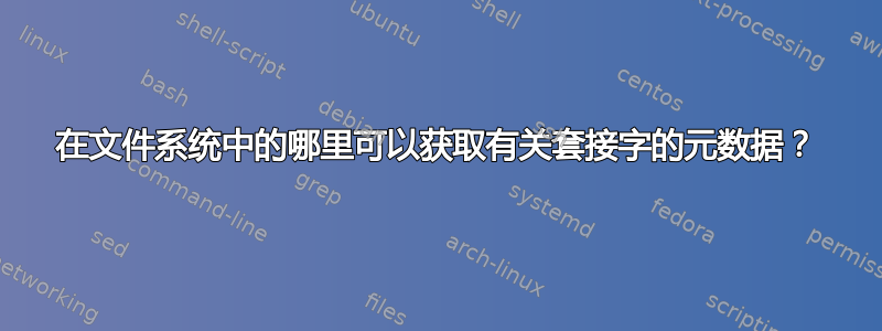 在文件系统中的哪里可以获取有关套接字的元数据？