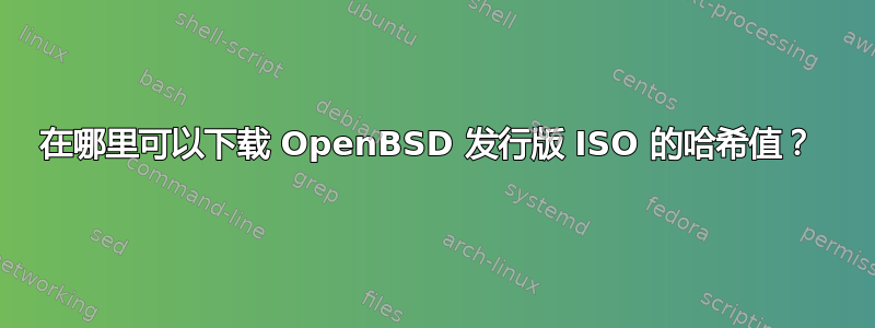 在哪里可以下载 OpenBSD 发行版 ISO 的哈希值？ 