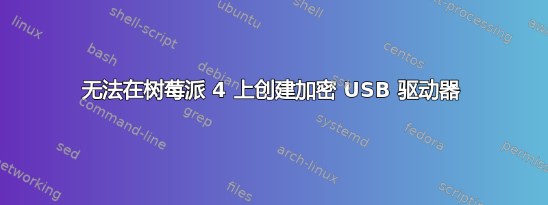 无法在树莓派 4 上创建加密 USB 驱动器