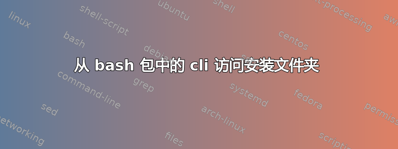 从 bash 包中的 cli 访问安装文件夹