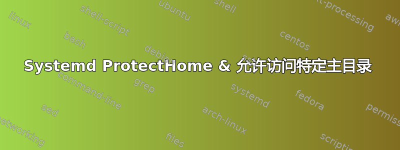 Systemd ProtectHome & 允许访问特定主目录