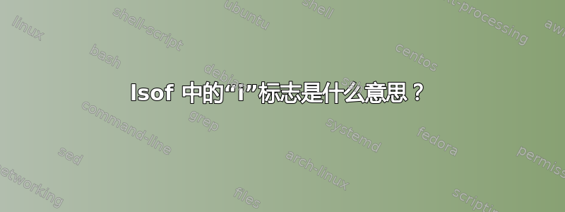 lsof 中的“i”标志是什么意思？