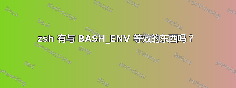 zsh 有与 BASH_ENV 等效的东西吗？