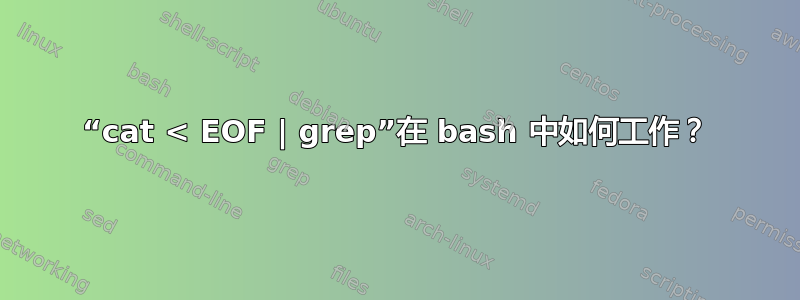 “cat < EOF | grep”在 bash 中如何工作？