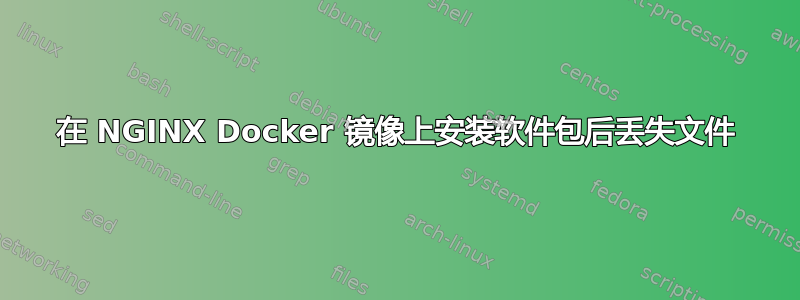 在 NGINX Docker 镜像上安装软件包后丢失文件