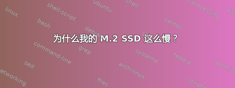 为什么我的 M.2 SSD 这么慢？