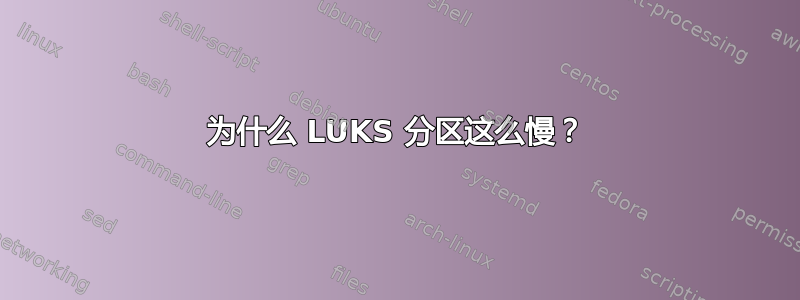 为什么 LUKS 分区这么慢？