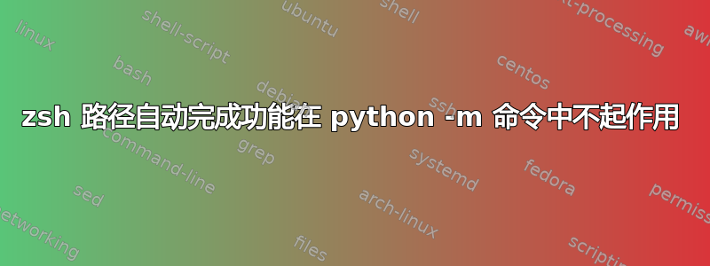 zsh 路径自动完成功能在 python -m 命令中不起作用