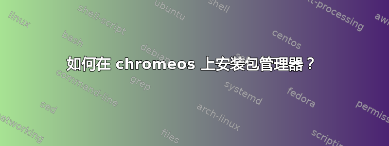 如何在 chromeos 上安装包管理器？