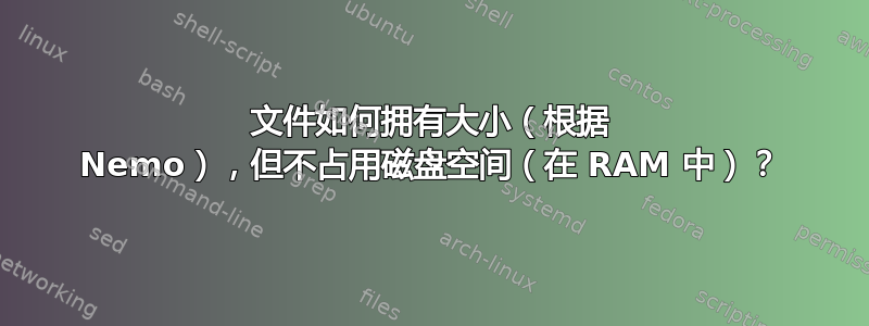 文件如何拥有大小（根据 Nemo），但不占用磁盘空间（在 RAM 中）？