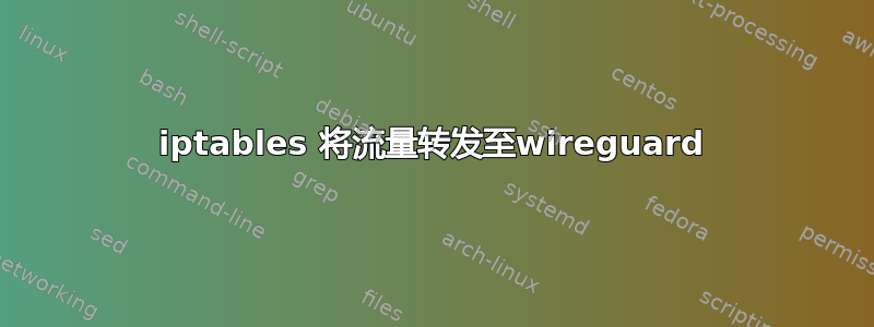 iptables 将流量转发至wireguard