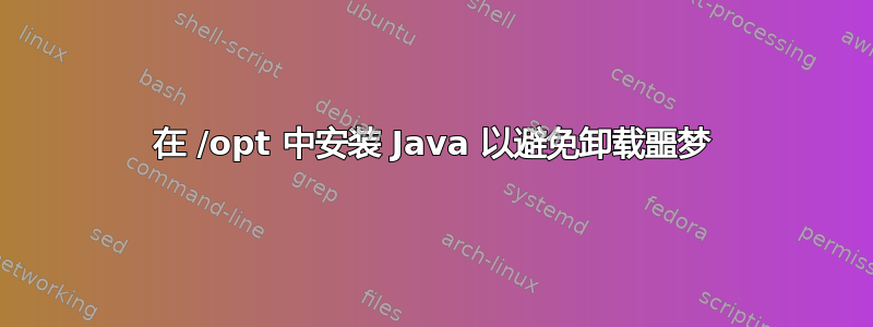 在 /opt 中安装 Java 以避免卸载噩梦