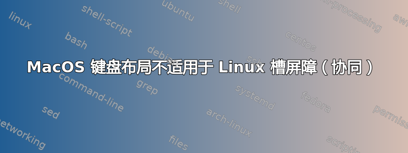 MacOS 键盘布局不适用于 Linux 槽屏障（协同）