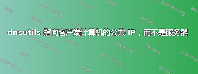 dnsutils 指向客户端计算机的公共 IP，而不是服务器