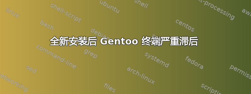 全新安装后 Gentoo 终端严重滞后