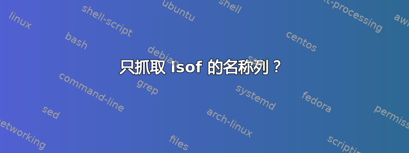 只抓取 lsof 的名称列？