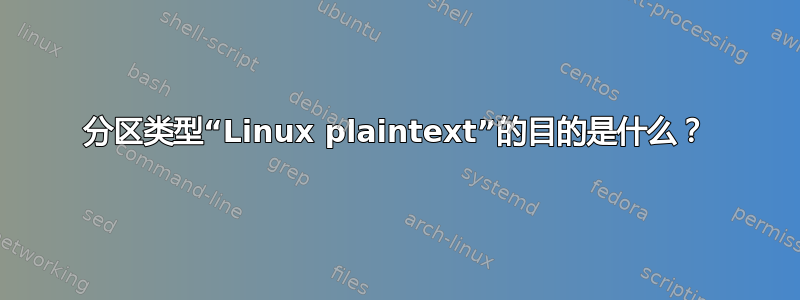 分区类型“Linux plaintext”的目的是什么？