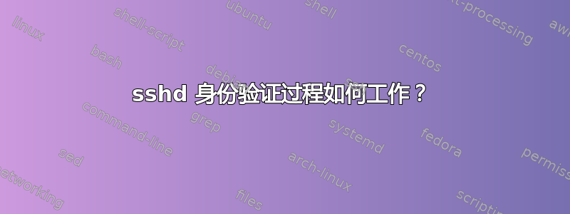 sshd 身份验证过程如何工作？