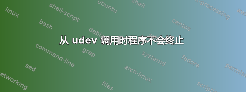 从 udev 调用时程序不会终止