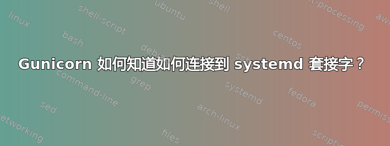 Gunicorn 如何知道如何连接到 systemd 套接字？