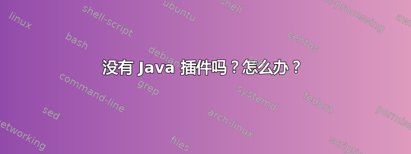 没有 Java 插件吗？怎么办？