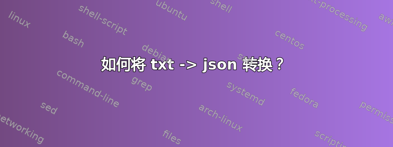 如何将 txt -> json 转换？