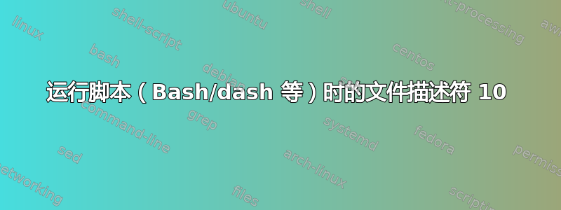 运行脚本（Bash/dash 等）时的文件描述符 10