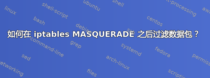 如何在 iptables MASQUERADE 之后过滤数据包？