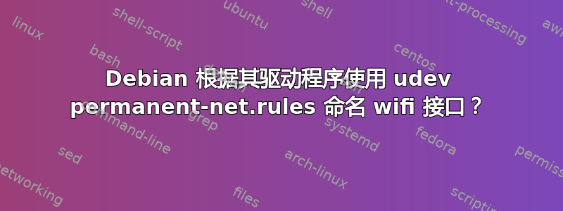 Debian 根据其驱动程序使用 udev permanent-net.rules 命名 wifi 接口？