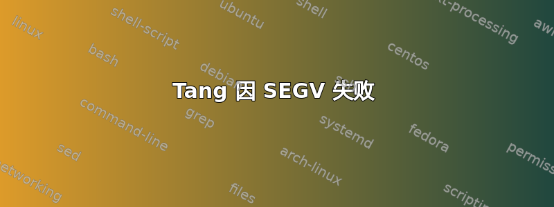 Tang 因 SEGV 失败