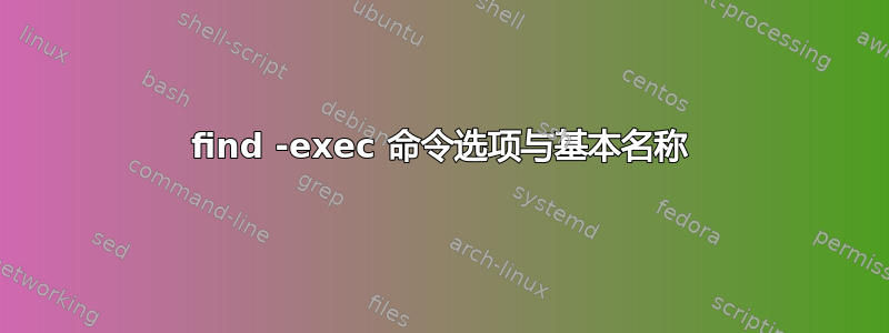 find -exec 命令选项与基本名称