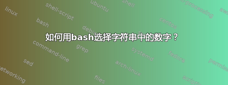 如何用bash选择字符串中的数字？