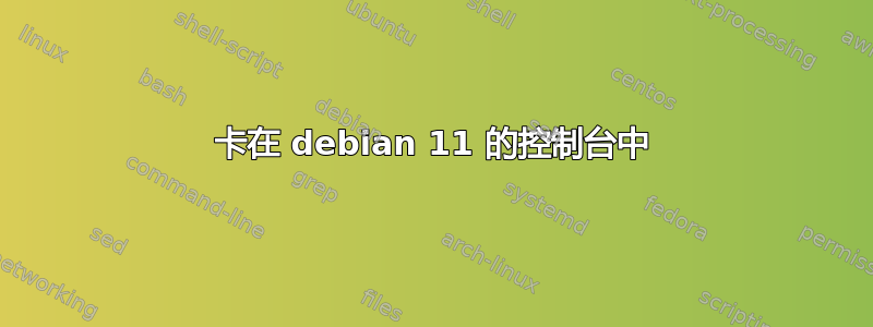 卡在 debian 11 的控制台中