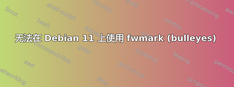 无法在 Debian 11 上使用 fwmark (bulleyes)