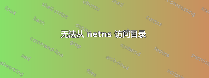 无法从 netns 访问目录