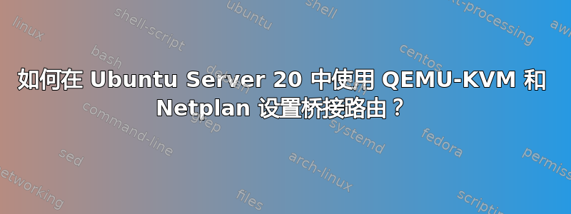 如何在 Ubuntu Server 20 中使用 QEMU-KVM 和 Netplan 设置桥接路由？