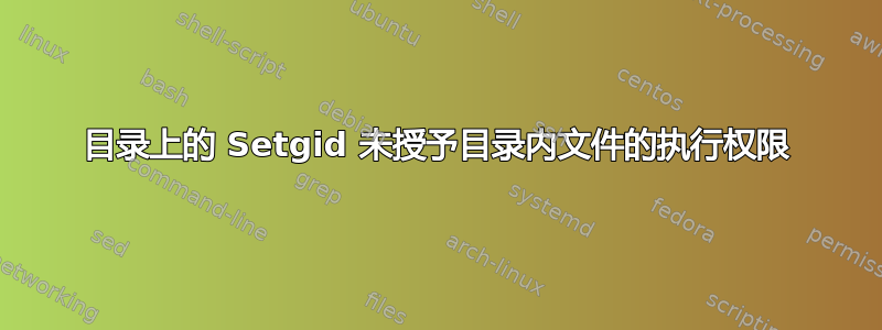 目录上的 Setgid 未授予目录内文件的执行权限